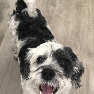 Fundraising Page: Julie Busch